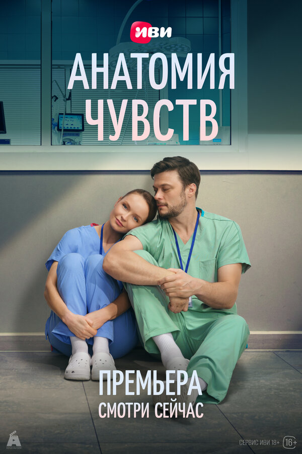 Анатомия чувств - постер сериала